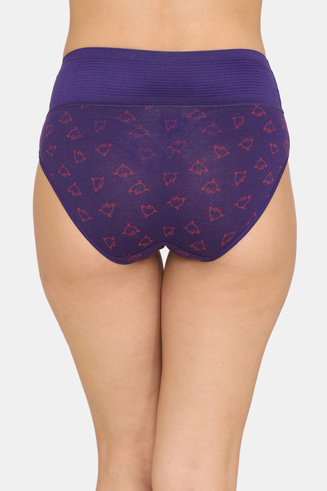 Zivame Anti-Microbial High Rise Full Coverage Tummy Tucker Hipster Panty (Pack of 2) - Multicolor — image 8